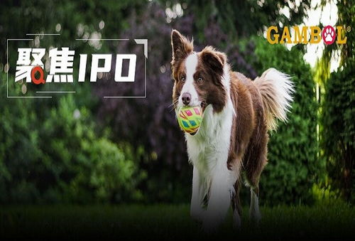 乖寶寵物境外重大訴訟懸而未決，利潤空間受境內(nèi)外雙重?cái)D壓，寵物食品銷售困局待解
